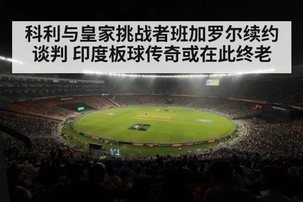 cricket stadium night crowd